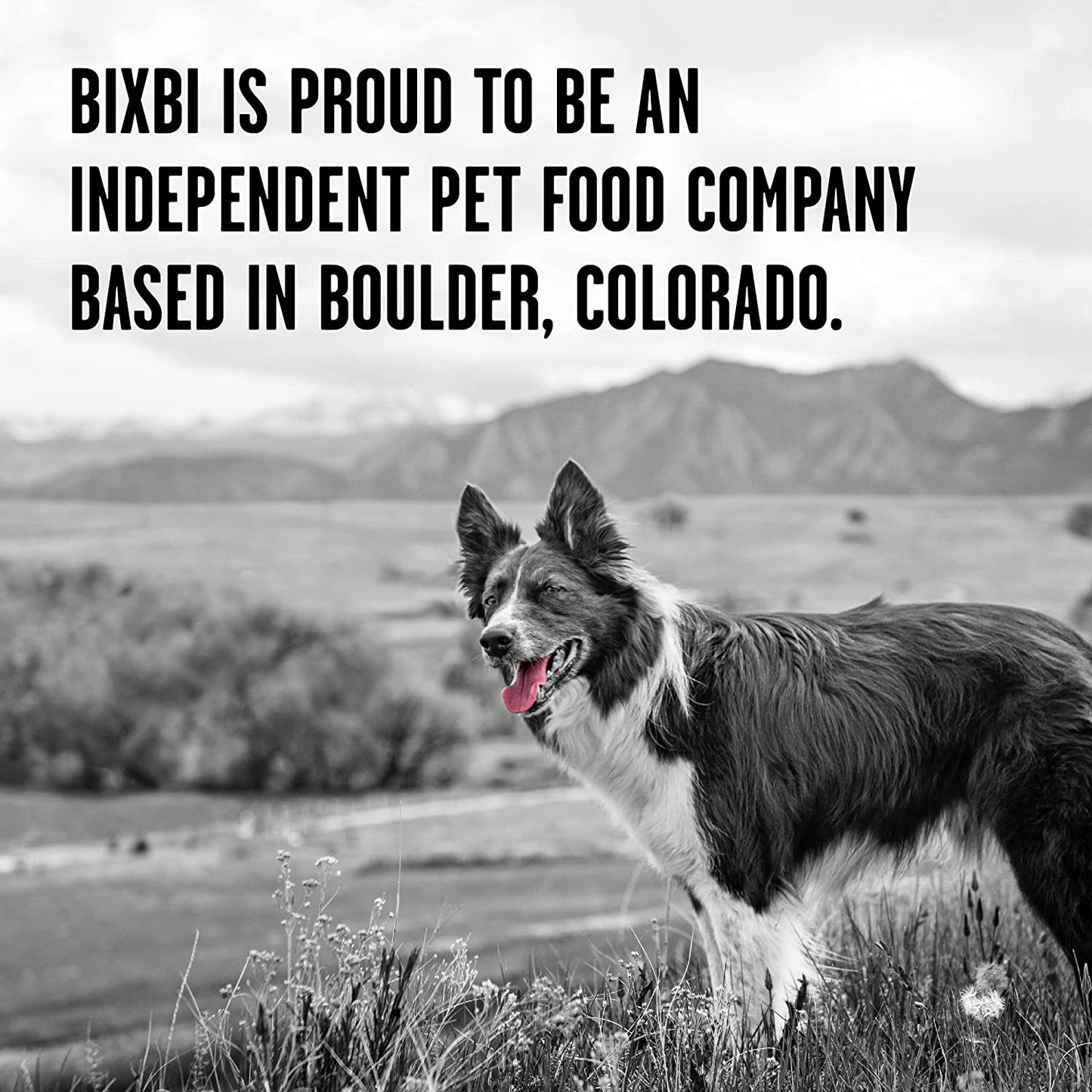 100% Beef Dog Food