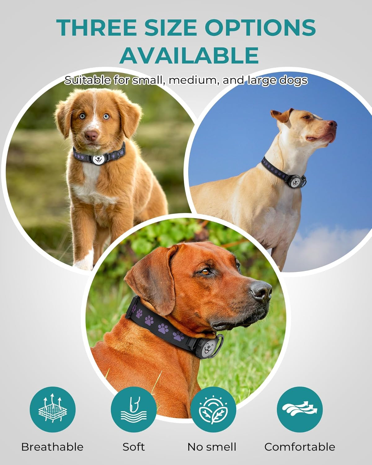 Dog Collar with Airtag Holder