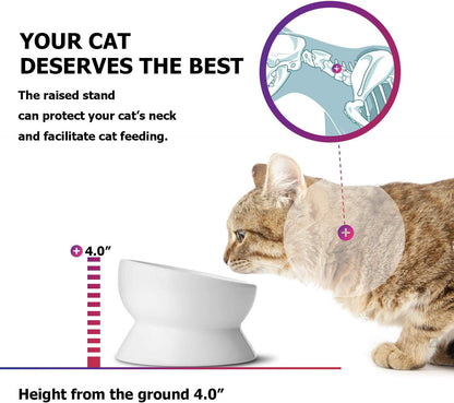 Elevated Cat Food Bowl