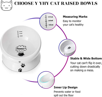 Elevated Cat Food Bowl