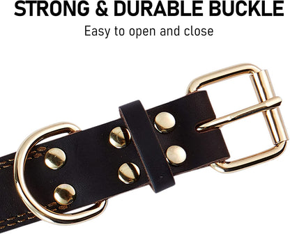 Leather Dog Collar