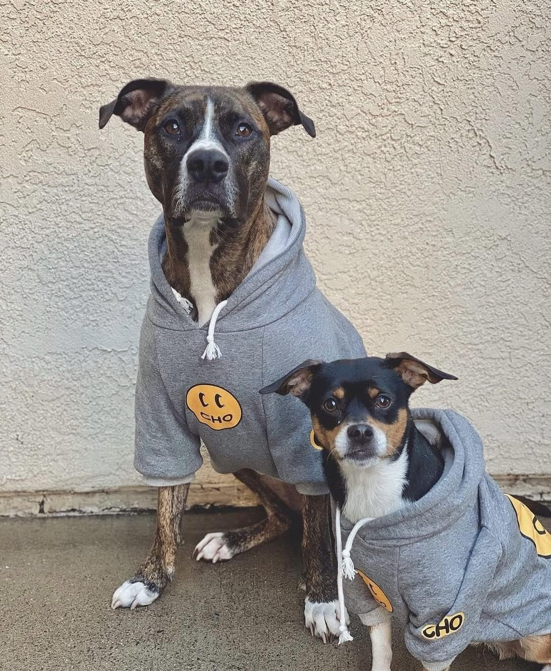 Trendy Smiley Dog Hoodie - Cozy Cotton Sweatshirt for Small to Large Pets (X-Large, Grey)