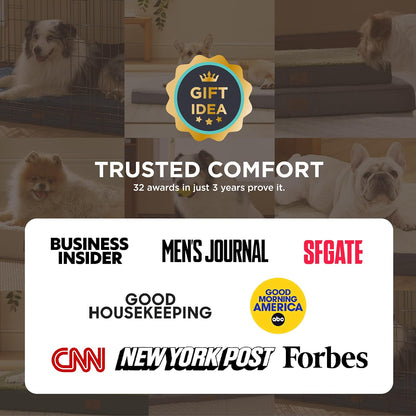 Dog Bed