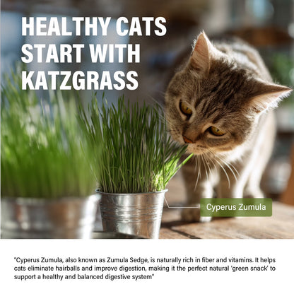 Delicious Cat Grass Treats for Healthy Teeth & Hairball Relief - Perfect Training Rewards!