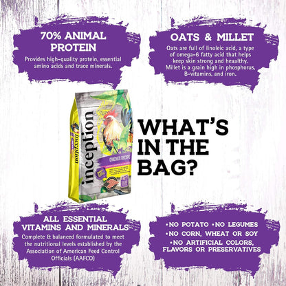 Complete and Balanced Cat Food 