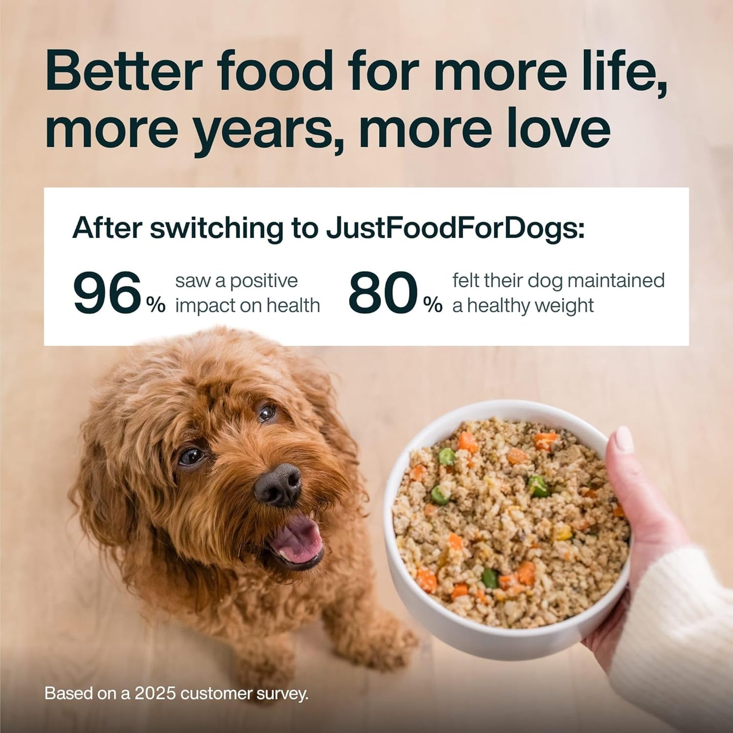 Pantry Fresh Dog Food, Complete Meal or Dog Food Topper, Beef & Russet Potato