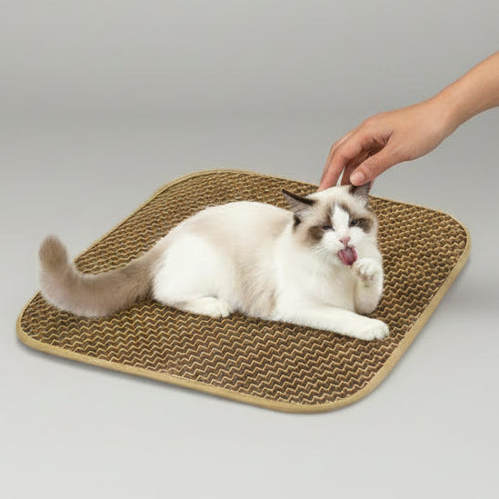 Cozy Cat Bed & House for Indoor Cats - Large Cat Cave with 2 Cushions, Scratch Pad, and Fluffy Hanging Ball - Light Gray
