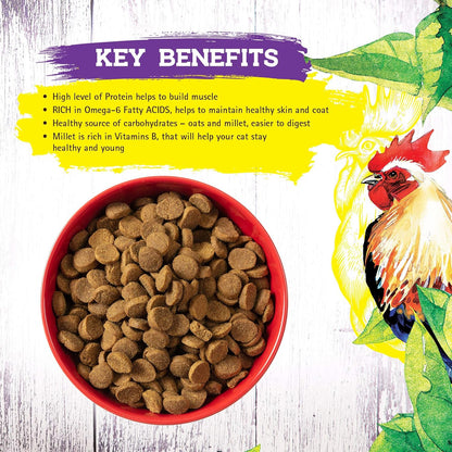 Complete and Balanced Cat Food 