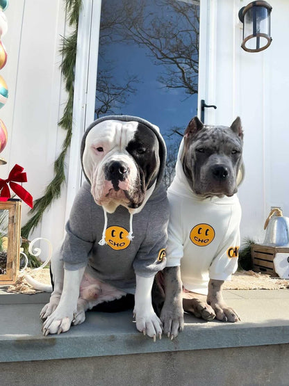 Trendy Smiley Dog Hoodie - Cozy Cotton Sweatshirt for Small to Large Pets (X-Large, Grey)