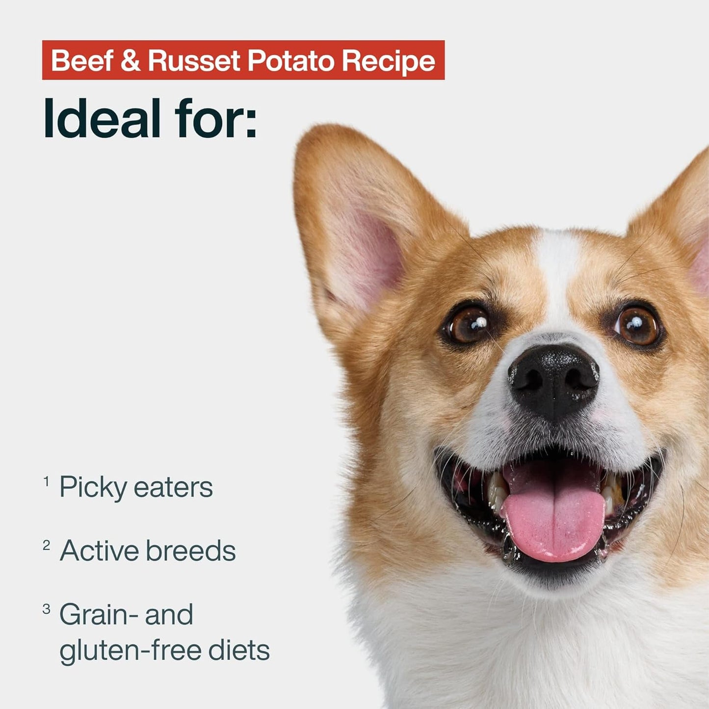 Pantry Fresh Dog Food, Complete Meal or Dog Food Topper, Beef & Russet Potato