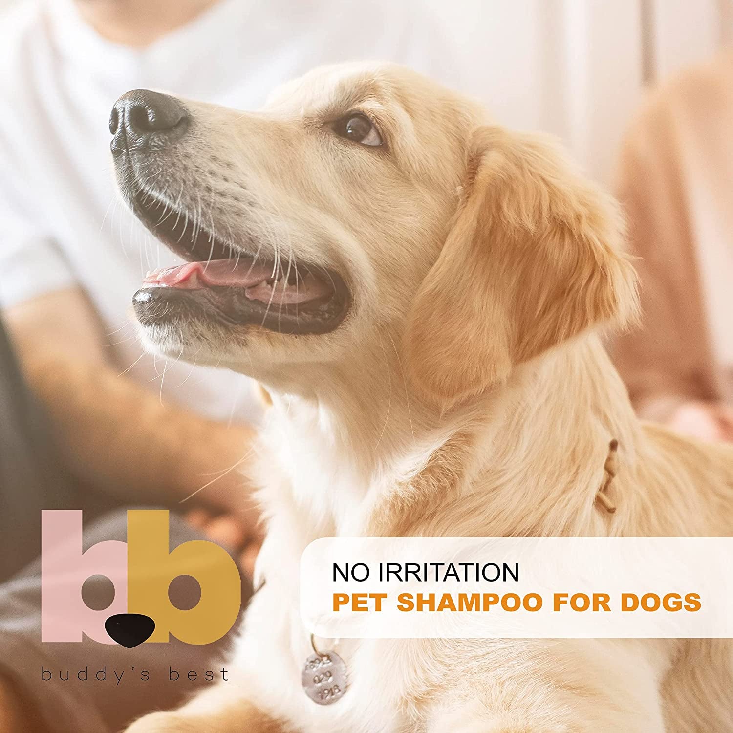 Dog Shampoo for Smelly Dogs