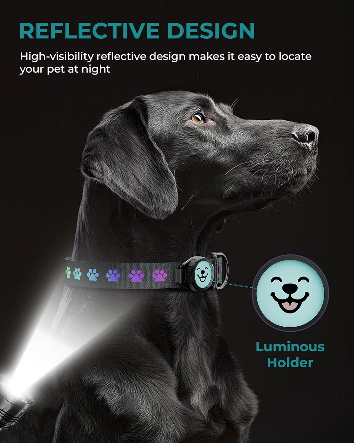 Dog Collar with Airtag Holder