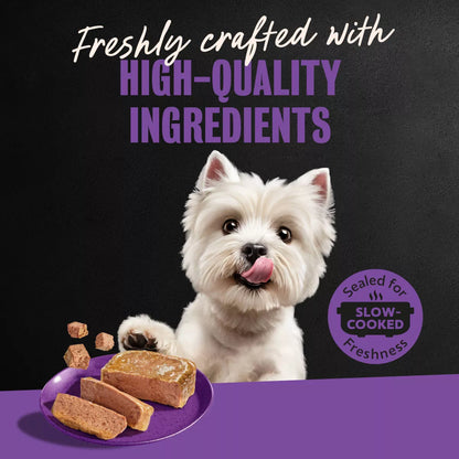 Cesar Classic Loaf in Sauce Grilled Chicken and Gravy Flavor Small Breed Wet Dog Food 