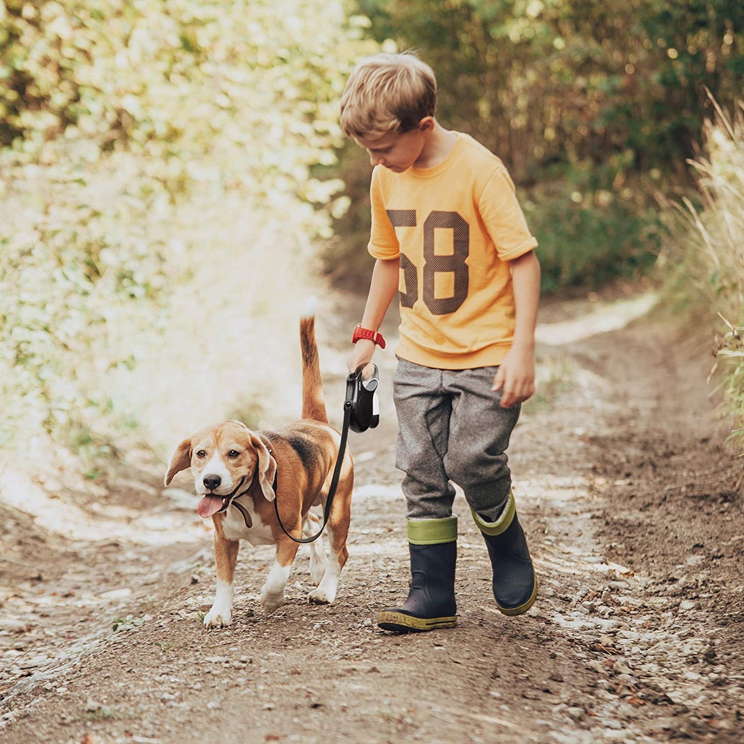 Retractable Dog Leash 