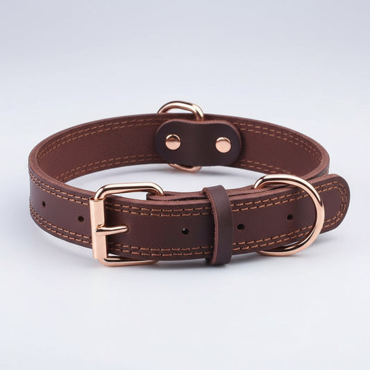 Leather Dog Collar