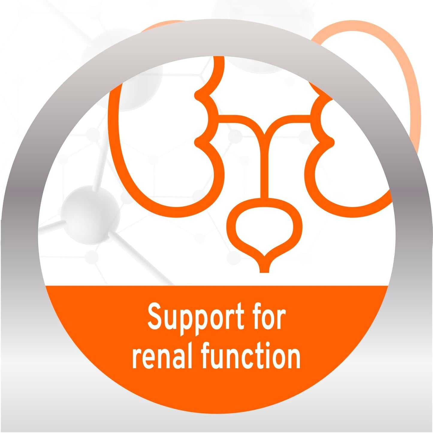 Vet Formulated Wet Dog Food for Kidney Support