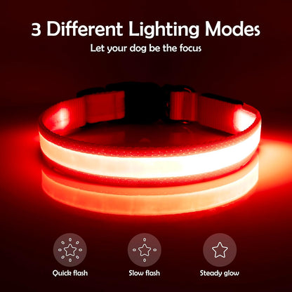 LED Dog Collar
