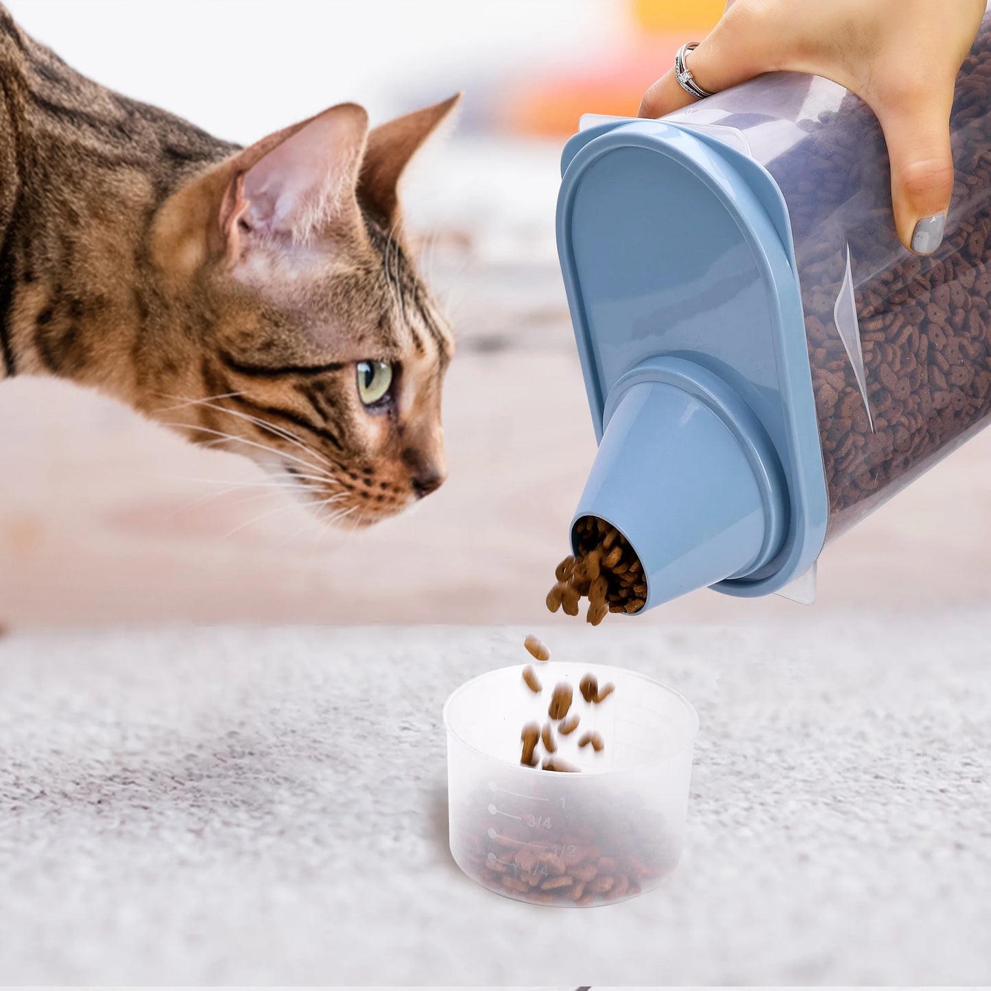 Pet Food Container Dog/Cat