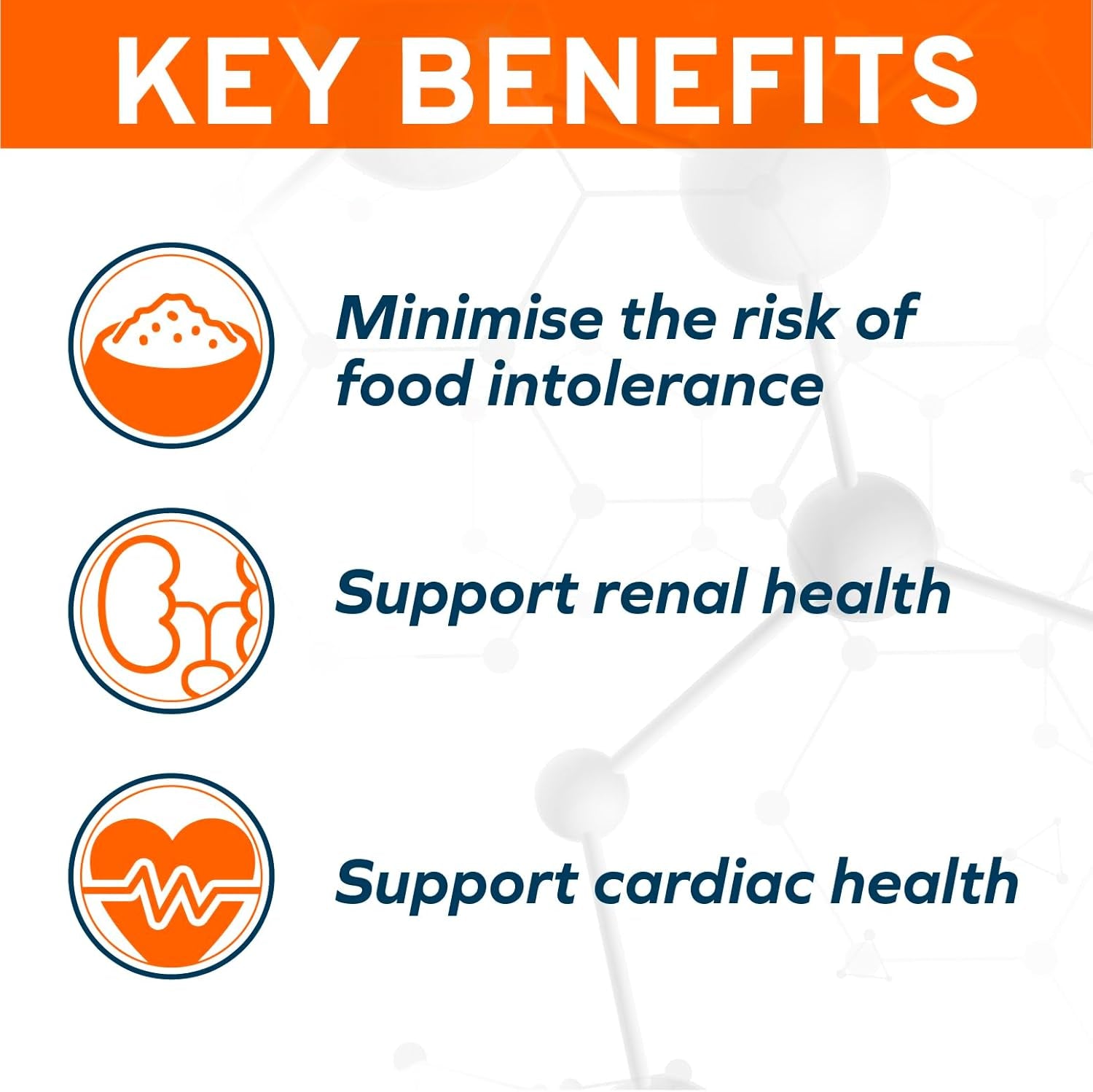 Vet Formulated Wet Dog Food for Kidney Support