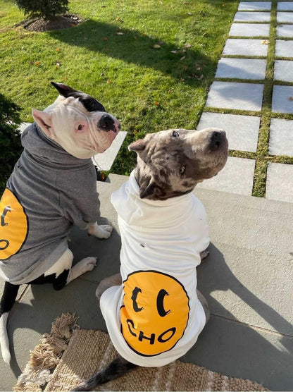 Trendy Smiley Dog Hoodie - Cozy Cotton Sweatshirt for Small to Large Pets (X-Large, Grey)