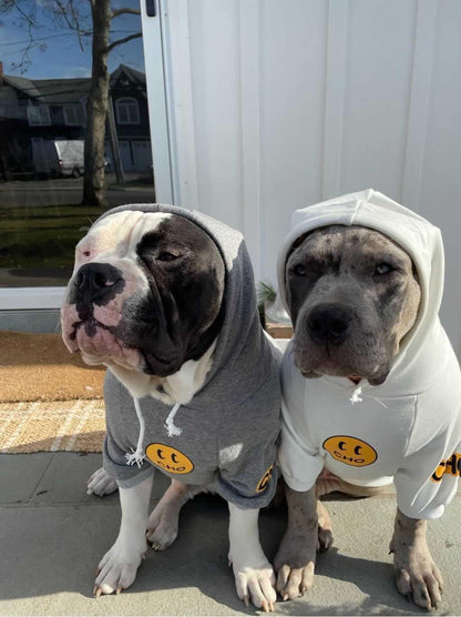 Trendy Smiley Dog Hoodie - Cozy Cotton Sweatshirt for Small to Large Pets (X-Large, Grey)