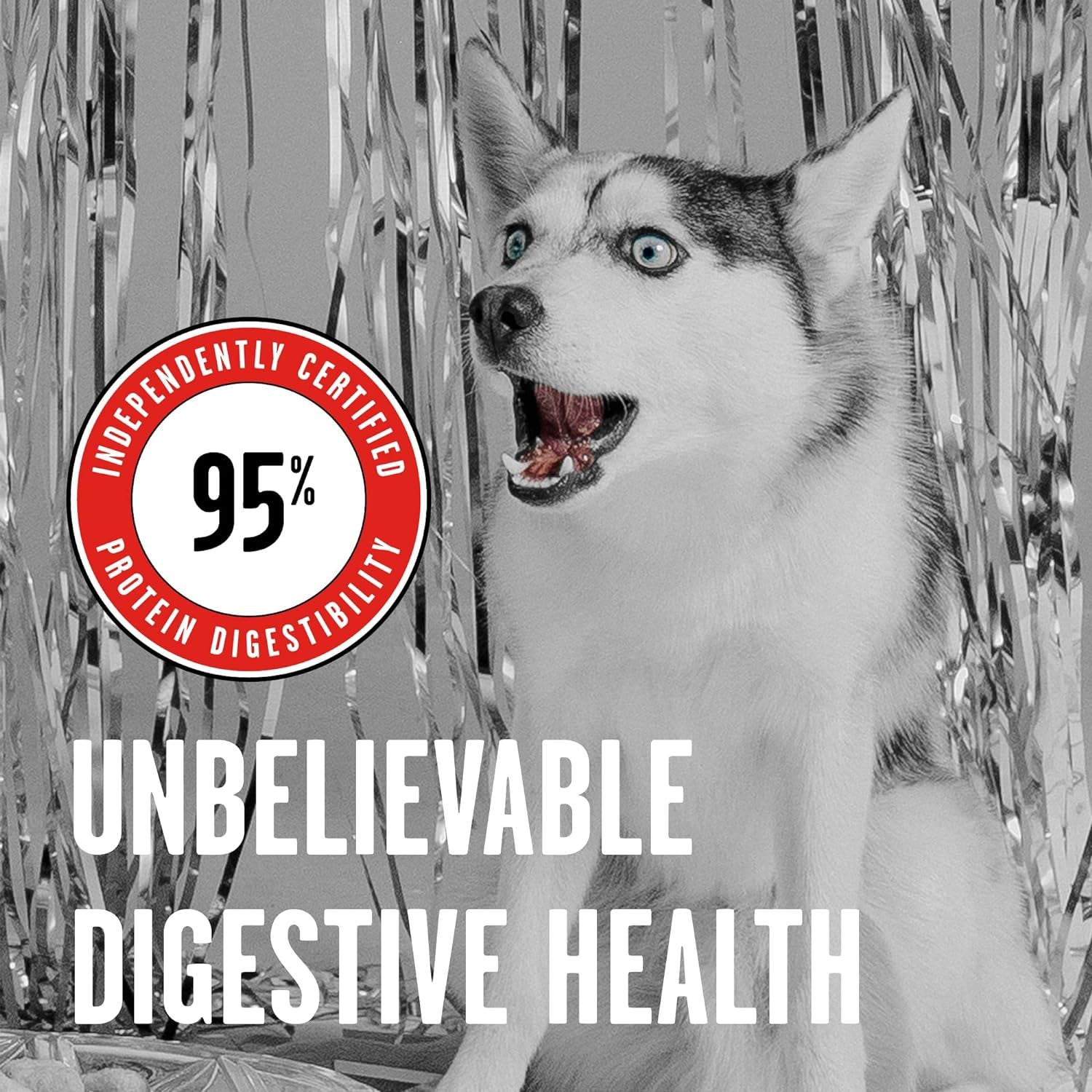 100% Beef Dog Food